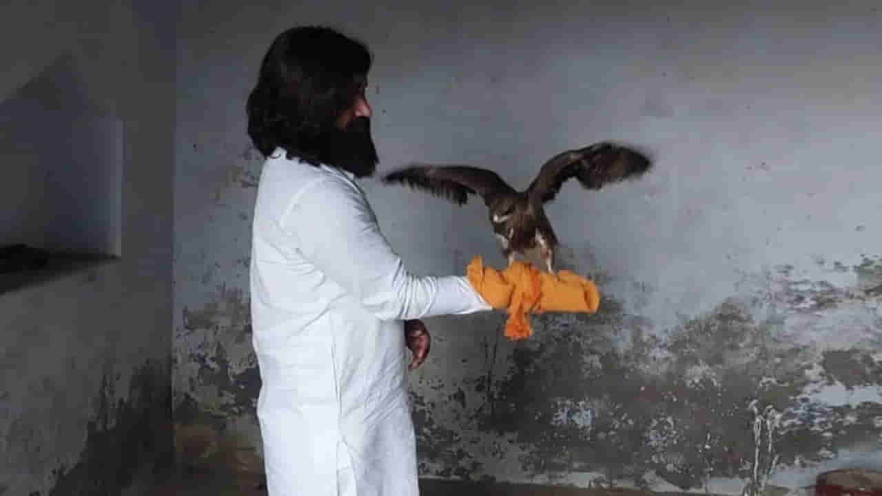 Arif And Eagle Friendship: మళ్ళీ డేగతో స్నేహం చేస్తున్న ఆరిఫ్.. చిక్కులు తప్పవా అంటున్న నెటిజన్లు..