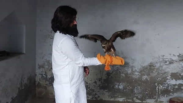 Arif And Eagle Friendship: మళ్ళీ డేగతో స్నేహం చేస్తున్న ఆరిఫ్.. చిక్కులు తప్పవా అంటున్న నెటిజన్లు..