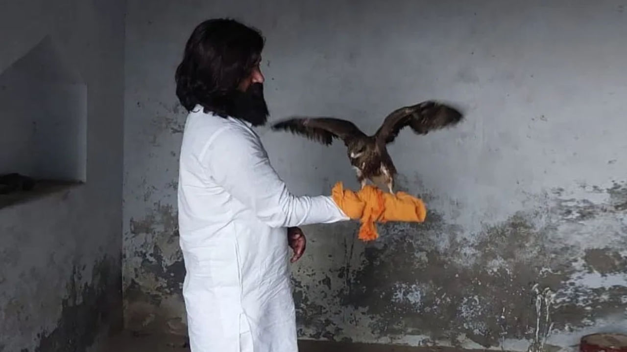 Arif And Eagle Friendship: మళ్ళీ డేగతో స్నేహం చేస్తున్న ఆరిఫ్.. చిక్కులు తప్పవా అంటున్న నెటిజన్లు..