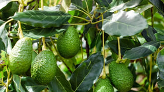 Karnataka: పెళ్లి చేసుకునేందుకు పిల్లనివ్వలేదని రెచ్చిపోయిన యువకుడు.. అర్థరాత్రి వేళ చొరబడి ఏం చేశాడంటే..