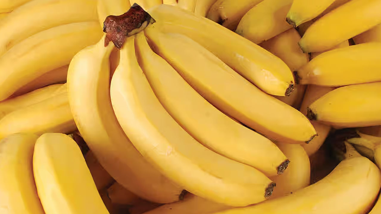 Banana weight gain: ఉరుకులు పరుగుల జీవితంలో ఆరోగ్యంపై దృష్టిపెట్టడం చాలాముఖ్యం. అందుకే ఆరోగ్యంగా, ఫిట్‌గా ఉండేందుకు ఎల్లప్పుడూ పండ్లను తినమని వైద్యులు సిఫార్సు చేస్తారు. అయితే, కొన్ని పండ్లు ఆరోగ్యానికి అపారమైన ప్రయోజనాలను అందిస్తాయి. కొన్ని పండ్లు కొన్ని సందర్భాలలో ఆరోగ్యానికి హాని కలిగించే స్వాభావాన్ని కలిగి ఉంటాయి. ఆరోగ్యానికి మేలు చేసే పండ్లలో అరటిపండు కూడా ఒకటి. ఇందులో ఎన్నో పోషకాలు దాగున్నాయి. 