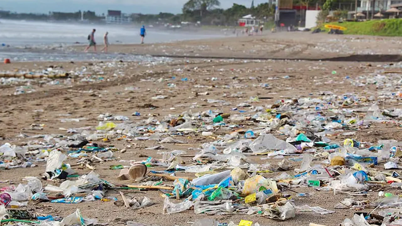 My India My Life Goals: పార్కులు, సముద్ర తీర ప్రాంతాలను పరిశుభ్రంగా ఉంచుదాం.. పర్యావరణాన్ని కాపాడుకుందాం.. My India My Life Goals: పార్కులు, సముద్ర తీర ప్రాంతాలను పరిశుభ్రంగా ఉంచుదాం.. పర్యావరణాన్ని కాపాడుకుందాం..