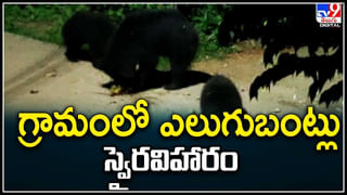 Viral Video: ఈ కోతి ఒలింపిక్స్‌కి వెళ్తే గోల్డ్‌ మెడల్‌ ఖాయం.. బాస్కెట్‌బాల్‌తో రెచ్చిపోయిన కోతి.