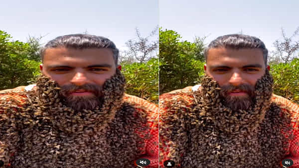 Bees Shocking Video: ఇదేక్కడి విడ్డూరంరా సామీ.. మనిషి గడ్డం నిండా తేనెటీగలు.. షాకింగ్ వీడియో వైరల్