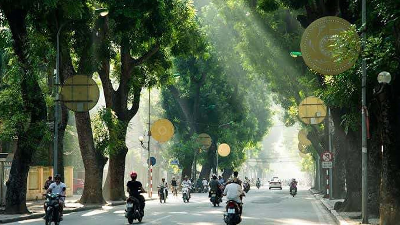 ఆక్సిజన్: ఆ కాలుష్యాలన్నింటినీ శోషించేటప్పుడు, చెట్లు మరింత ఆక్సిజన్ను తిరిగి పట్టణ వాతావరణంలోకి పంపుతాయి. గ్రామీణ ప్రాంతాలతో పోలిస్తే నగరాల్లో ఆక్సిజన్ స్థాయిలు గణనీయంగా తక్కువగా ఉన్నాయి. చెట్లు ఆక్సిజన్ సమస్యను పరిష్కరించడానికి సహాయపడతాయి.