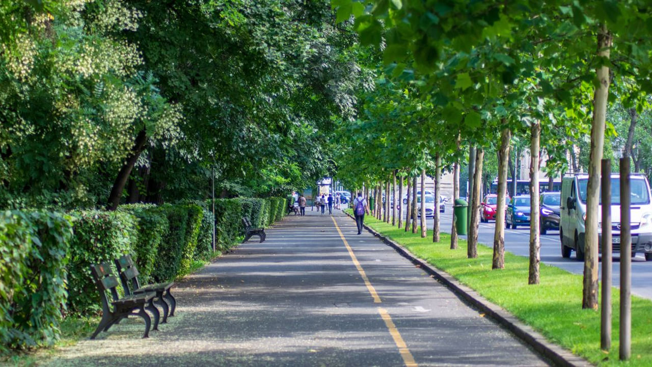 మానసిక శారీరక ఆరోగ్యానికి: పరి శుభ్రమైన పట్టణ పరిసరాల కంటే ప్రకృతితో నిండిన పరిశరాల్లోనే మానవులు ఎక్కువ సంతోషంగా ఉంటారు. చెట్లు మనస్తత్వశాస్త్రంపై తీవ్ర సానుకూల ప్రభావాన్ని చూపుతాయని పేర్కొంది. చెట్లు గాలి నాణ్యతను మెరుగుపరుస్తాయి. ఆరోగ్యానికి చాలా ప్రయోజనం చేకూరుస్తాయి. చెట్లు పుష్కలంగా ఉన్న పట్టణ ప్రాంతాల్లో సైక్లింగ్, రన్నింగ్ మరియు నడక సర్వసాధారణంగా కనిపించే దృశ్యమే..