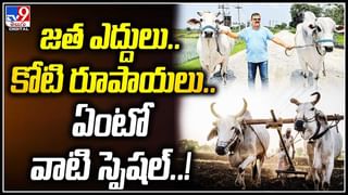 Viral Video: కోడలి కోసం ఓ అత్త సాహసం.. మనసును కదిలిస్తుంది..! వీడియో..