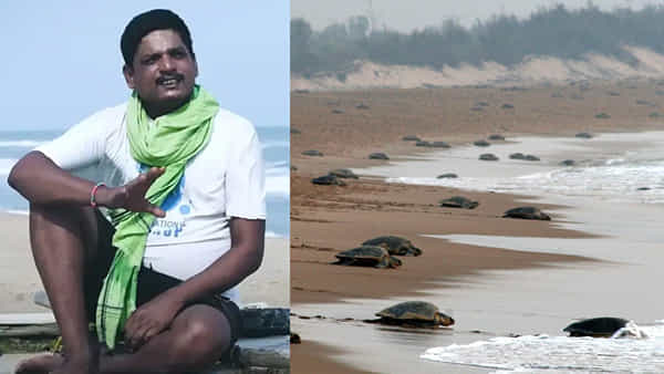 My India My LiFE Goals: పర్యావరణమే ఫస్ట్.. మిగతావన్నీ లాస్ట్.. బిచి భాయ్ దినచర్య ఏంటో తెలుసా..?