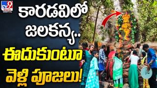 Digital TOP 9 NEWS: విశాఖ తీరంలో వాహ్‌వా టెర్మినల్ | బ్యూటీ పార్లర్‌కెళితే బోడి గుండైంది..!