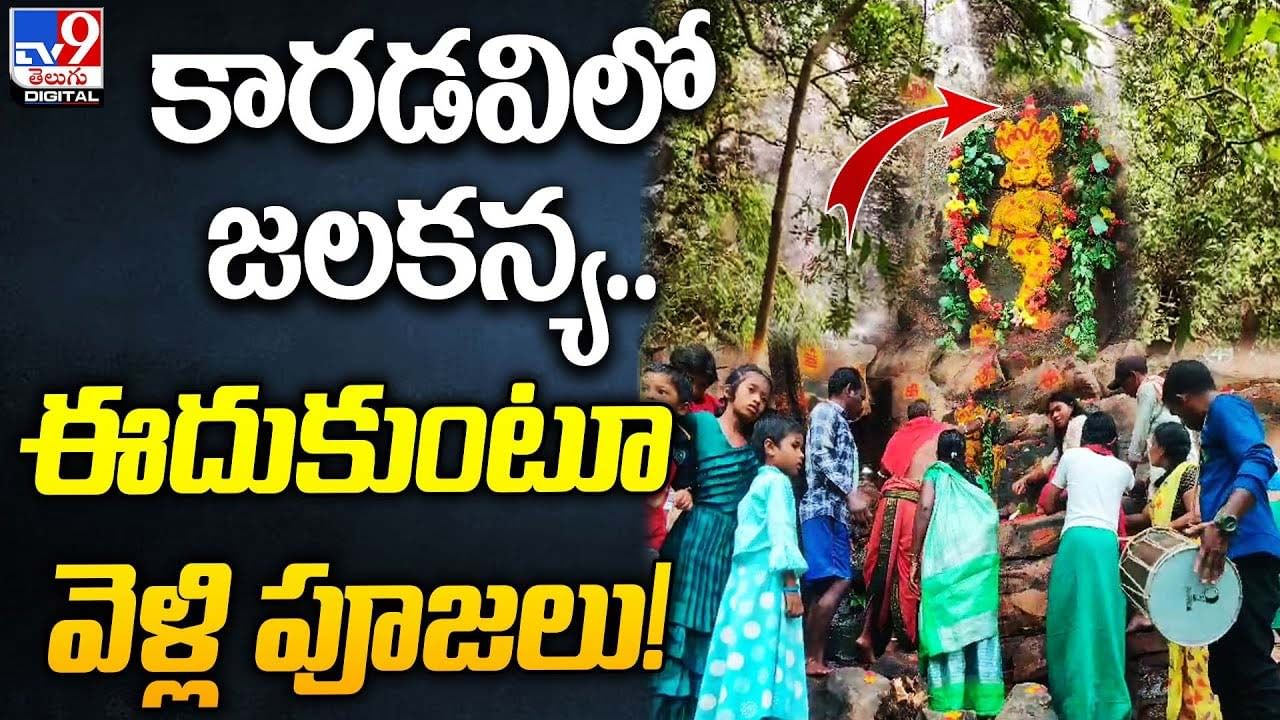 కారడవిలో జలకన్య.. ఈదుకుంటూ వెళ్లి పూజలు