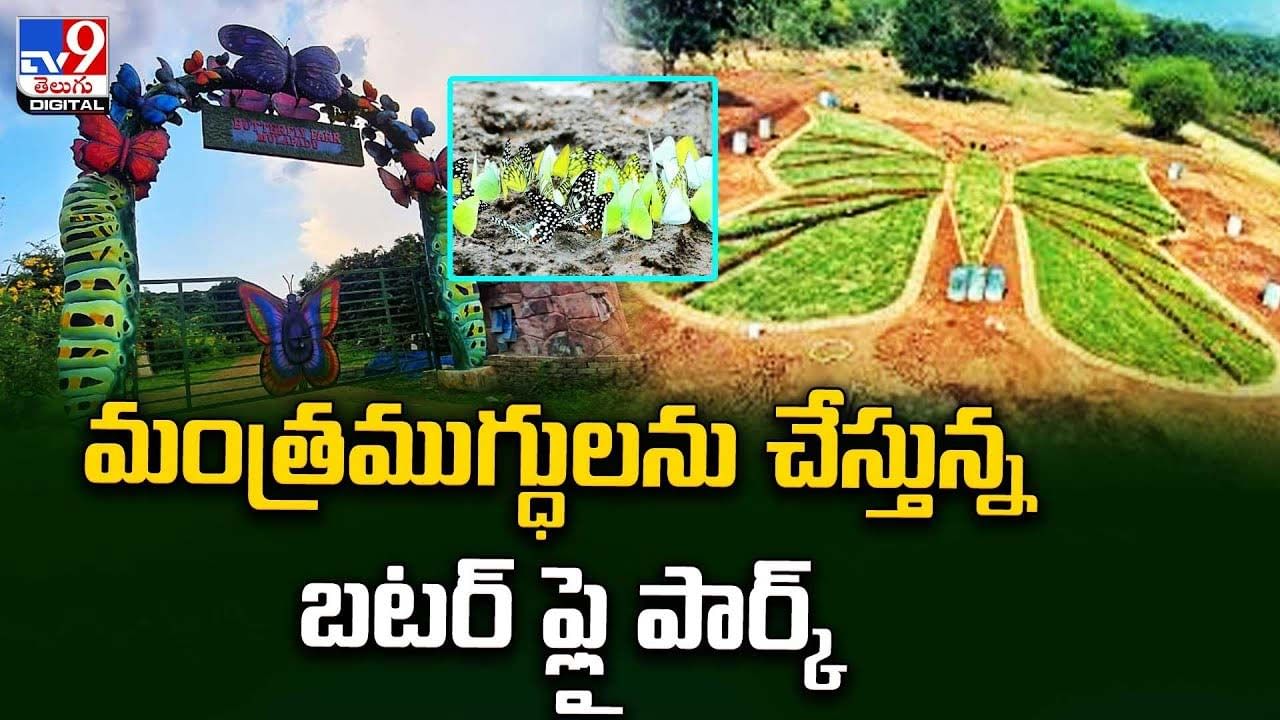 Butterfly Park: మంత్రముగ్ధులను చేస్తున్న బటర్ ఫ్లై పార్క్