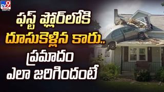 Watch: తెలివైన వాడికి ఉండాల్సిన లక్షణాలు..! ఆనంద్‌ మహీంద్రా షేర్‌ చేసిన జీవిత పాఠాలు..! ఇనుప కంచె దాటిన గజరాజు..