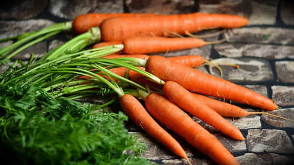 Health Tips: రోజూ క్యారెట్ తినడం వల్ల కంటి చూపు పెరుగుతుందా? ఇందులో నిజమెంత? కీలక వివరాలు..