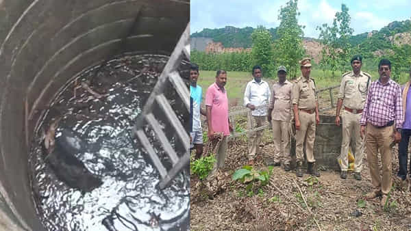 బావిలో పడిన పిల్లిని కాపాడేందుకు రెస్క్యూ ఆపరేషన్.. ఫైర్లింజన్లతో నీటిని తోడి.. రోజంతా శ్రమించి.. చివరకు..