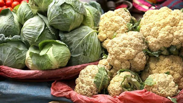 Health Tips: కాలీఫ్లవర్ వర్సెస్ క్యాబేజీ.. రెండింటీలో ఏది ఆరోగ్యానికి మంచిదో తెలుసా..? నిపుణులు ఏం చెబుతున్నారంటే..