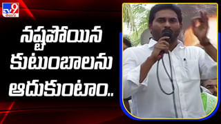 AP Politics: ఏపీ రాజకీయాల్లో ‘చిరు’ మంటలు.. అసలు మెగాస్టార్ ఏమన్నారు..? వైసీపీ రియాక్షన్ ఏంటీ..