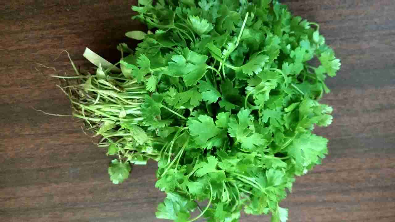 Coriander Benefits: కిడ్నీలను క్లీన్ చేసే కొత్తిమీర.. ఇలా వాడితే మంచి ఫలితం ఉంటుందండోయ్.. మిస్ చేయకండి!!