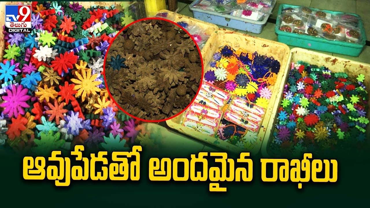 Raksha Bandhan : ఆవుపేడతో అందమైన రాఖీలు