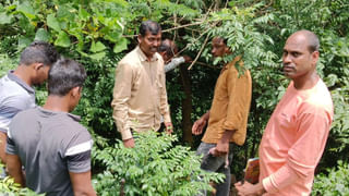 Andhra Pradesh: మెంటల్ ఆసుపత్రిలో చేరాలి.. అసహనంతో హింసను రెచ్చగొడుతున్నారు.. పవన్, చంద్రబాబుపై YSRCP ఫైర్..