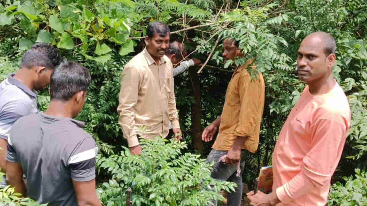 Andhra Pradesh: స్నేహితులంతా కలిసి వేటకెళ్లారు.. పందులను చూడగానే పేలిన తూటా.. పాపం చివరికి..