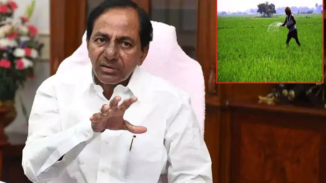 Telangana: తెలంగాణ రైతాంగానికి మరో గుడ్‌న్యూస్‌.. లక్ష లోపు రైతు రుణాలన్నీ మాఫీ