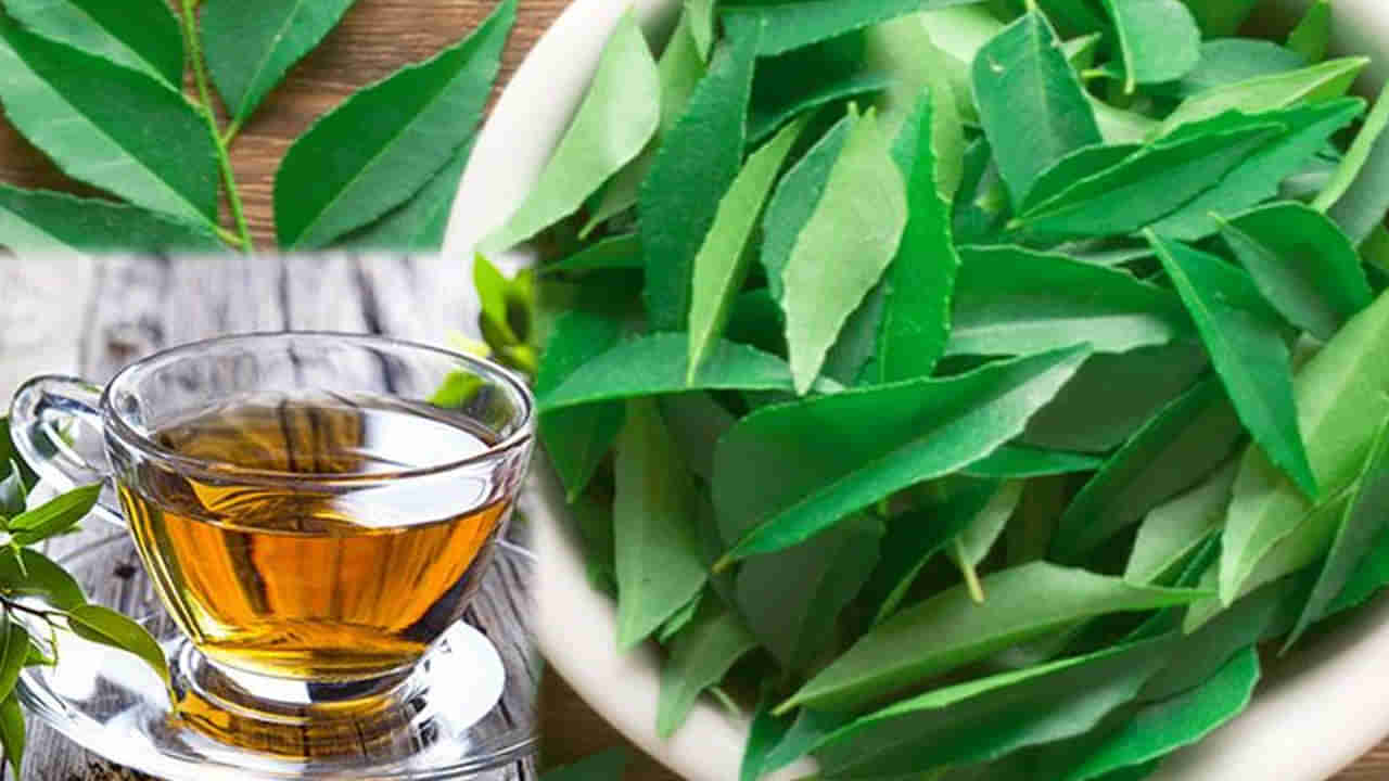 Curry leaves tea: మీకు కరివేపాకు టీ గురించి తెల్సా.. రోజూ ఒక కప్పు తాగితే తిరుగుండదు