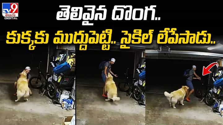 తెలివైన దొంగ.. కుక్కకు ముద్దుపెట్టి..సైకిల్ లేపేసాడు తెలివైన దొంగ.. కుక్కకు ముద్దుపెట్టి..సైకిల్ లేపేసాడు
