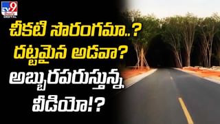 Optical illusion: చీకటి సొరంగమా ?? దట్టమైన అడవా ?? అబ్బురపరుస్తున్న వీడియో