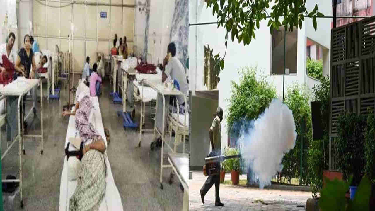 Dengue Cases in Delhi: పడకేసిన ఢిల్లీ.. 348 డెంగ్యూ కేసుల నమోదు.. టైప్ 2 డెంగ్యూ స్ట్రెయిన్‌ గుర్తింపు..