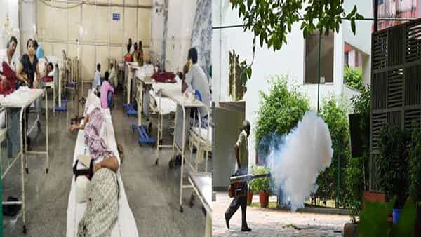 Dengue Cases in Delhi: పడకేసిన ఢిల్లీ.. 348 డెంగ్యూ కేసుల నమోదు.. టైప్ 2 డెంగ్యూ స్ట్రెయిన్ గుర్తింపు..