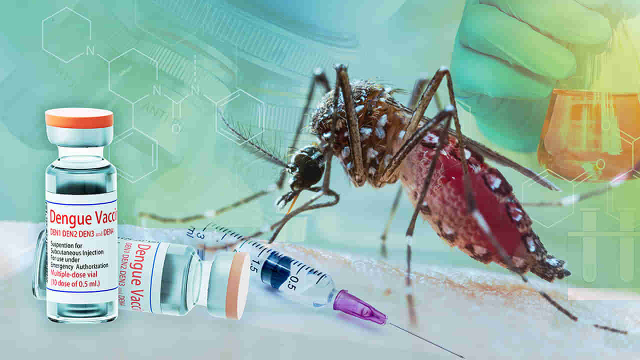Dengue Vaccine: డెంగ్యూ జ్వరంపై యుద్ధం.. భారత్ నుంచి తొలి వ్యాక్సిన్.. హైదరాబాద్‌కి చెందిన ఆ కంపెనీ..