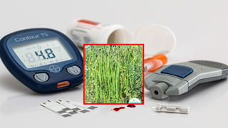 BMI Formula: ఎత్తు ప్రకారం మీ బరువు ఎంత ఉండాలో తెలుసా.. దానిని ఎలా లెక్కించాలంటే..