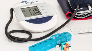 Hornbill Bird Love Story: ఈ పక్షి అడవికి తోటమాలి.. దీనికీ ఓ ప్రేమకథ ఉంది తెలుసా..