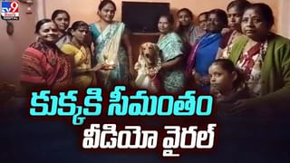 జుగాడ్ కారు ఎంచక్కా పడకేసి తొంగోవచ్చు..