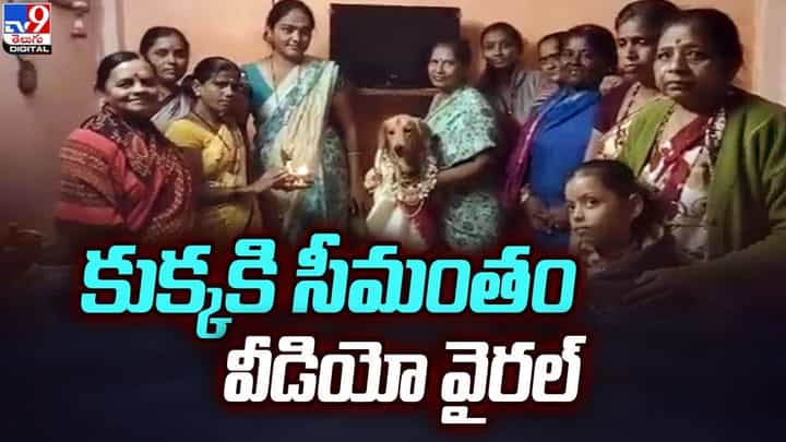 కుక్కకి సీమంతం.. పండ్లు, పూలు, గాజులతో ఫంక్షన్ !! వీడియో వైరల్ కుక్కకి సీమంతం.. పండ్లు, పూలు, గాజులతో ఫంక్షన్ !! వీడియో వైరల్