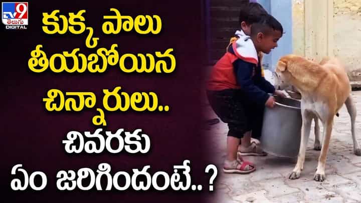 కుక్క పాలు తీయబోయిన చిన్నారులు.. చివరకు ఏం జరిగిందంటే ?? కుక్క పాలు తీయబోయిన చిన్నారులు.. చివరకు ఏం జరిగిందంటే ??