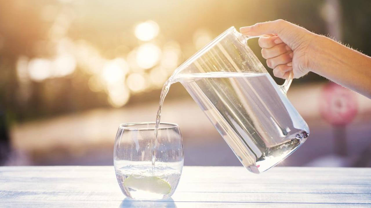 మంచినీరు: డెంగ్యూ వచ్చినప్పుడు ఎక్కువగా డీహైడ్రేషన్‌కు గురవుతుంటారు. ఇలాంటి సమయంలో మంచినీరు బాగా తాగాలని వైద్యులు సూచిస్తున్నారు. రోజుకు శరీరానికి అవసరమైన నీటిని తప్పకుండా తాగాలి.