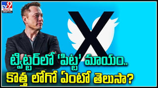 Cobra Viral Video: గుడ్లు మింగిన నాగుపాము.. కదలేని స్థితిలో ఎం చేసిందంటే.? వీడియో వైరల్.