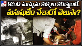 Mother killed: ఇదేం పిచ్చిరా అంటూ.. పెళ్లి చేయడం లేదని తల్లిని చంపిన కొడుకు.