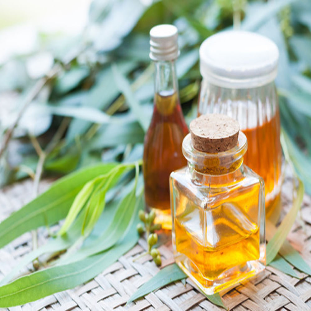 నీలగిరి నూనె తేమ ప్రభావాన్ని కలిగి ఉంటుంది. ఇది చర్మా సమస్యల నుంచి ఉపశమనం కలిగిస్తుంది. నోటిలో హానికరమైన బ్యాక్టీరియాను తొలగిస్తుంది. కాబట్టి నీలగిరి తైలం సారం మౌత్ వాష్‌లు టూత్‌పేస్ట్‌లను తయారు చేయడానికి కూడా ఉపయోగిస్తారు.