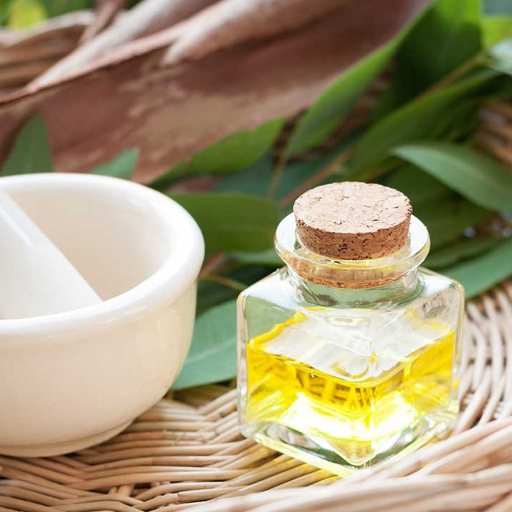 నీలగిరి  ఆకులు యాంటీ బాక్టీరియల్, యాంటీ ఫంగల్ లక్షణాలను కలిగి ఉండటం వలన శతాబ్దాలుగా వీటి ఆకులను సాంప్రదాయ వైద్యంలో ఉపయోగిస్తున్నారు. వీటిని  గాయాలు నయం చేయడానికి, కీటకాలు కాటు, పగిలిన పాదాలు, పొడి చర్మం, కీటకాలు కాటు, జలుబు పుళ్ళు వంటి వివిధ రకాల చర్మ పరిస్థితులకు చికిత్సగా ఉపయోగిస్తారు.