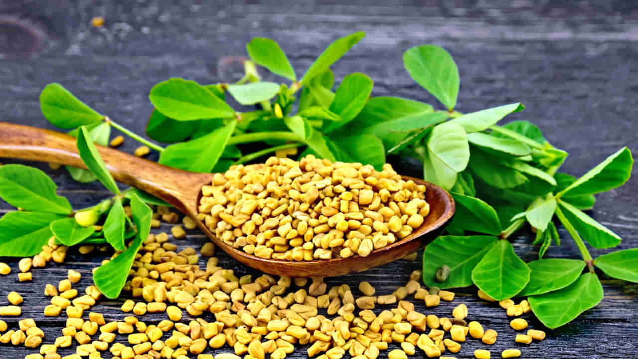 Methi Seeds for Diabetes: మెంతులను ఇలా తీసుకుంటే డయాబెటిస్ జీవితంలో దగ్గరకు రాదు.. మీరు అనుకున్నట్లుగా మాత్రం కాదు..