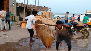 Kodali Nani: పవన్‌ కల్యాణ్‌కు ఆ విషయం చెప్పాలనుకున్నా.. కానీ, కుదరలేదు.. కొడాలి నాని సంచలన వ్యాఖ్యలు..