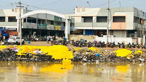 Flower Cost in Kadiyam: ఓ వైపు పూజలు, ఫంక్షన్లు.. ఒక్కరోజులో పతనమైన కడియం పూల ధరలు.. లబోదిబోమంటున్న రైతులు