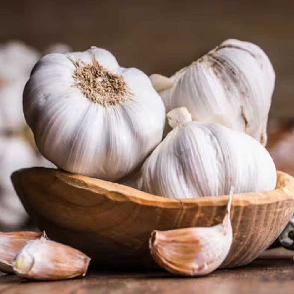 ఇలా వెల్లుల్లిని తీసుకుంటే అనేక ఆరోగ్య సమస్యలకు చెక్ పెట్టవచ్చు. వెల్లుల్లిని తీసుకోవడం వల్ల దగ్గు, జలుబు వంటి శ్వాసకోశ సమస్యలు తగ్గుతాయి. హైబీపీ నియంత్రణలోకి వస్తుంది. శరీరంలో రక్త సరఫరా మెరుగు పడుతుంది.