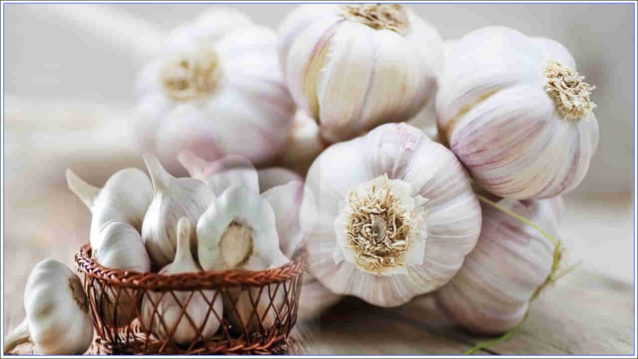 Garlic Price: టమాట ధరతో పోటీ పడుతున్న వెల్లుల్లి.. ఒక్కసారిగా పెరిగిన రేటు