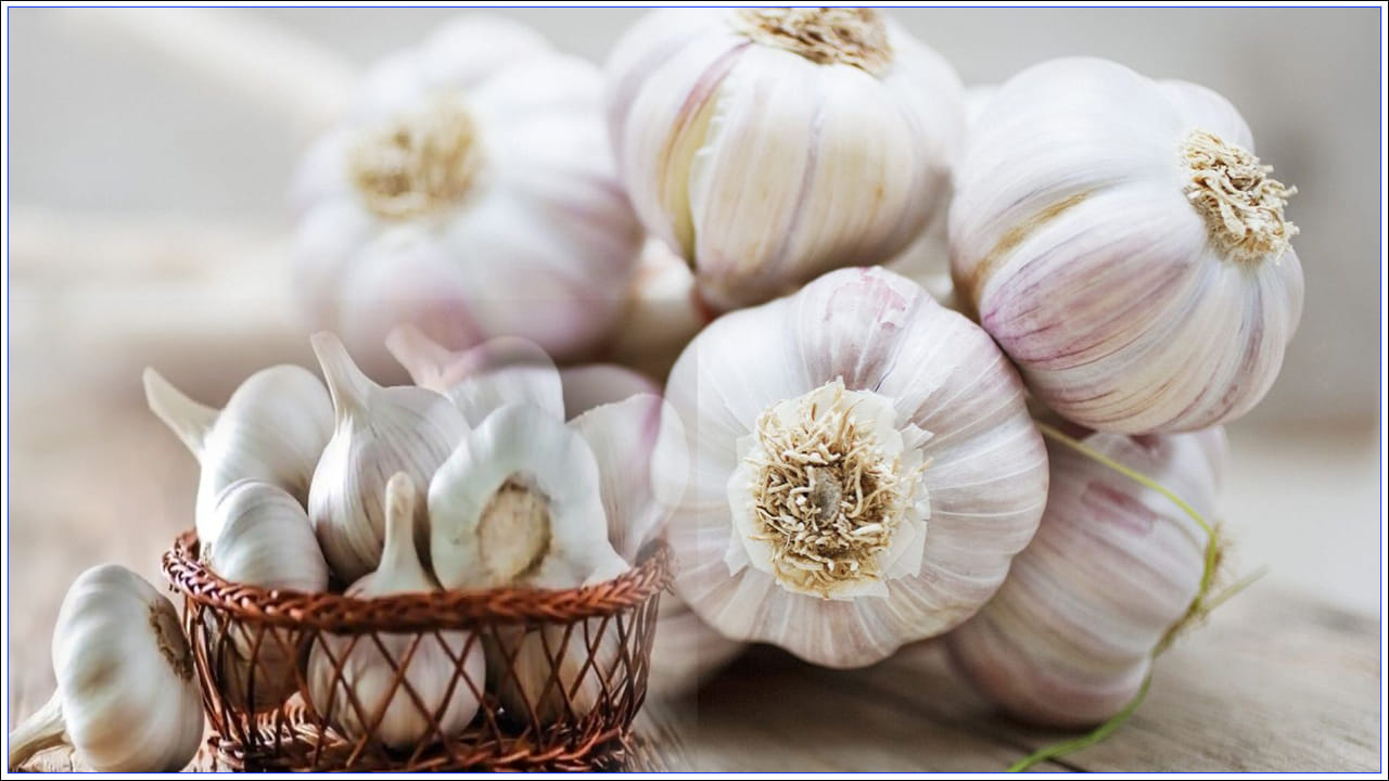 Garlic Price: టమాట ధరతో పోటీ పడుతున్న వెల్లుల్లి.. ఒక్కసారిగా పెరిగిన రేటు