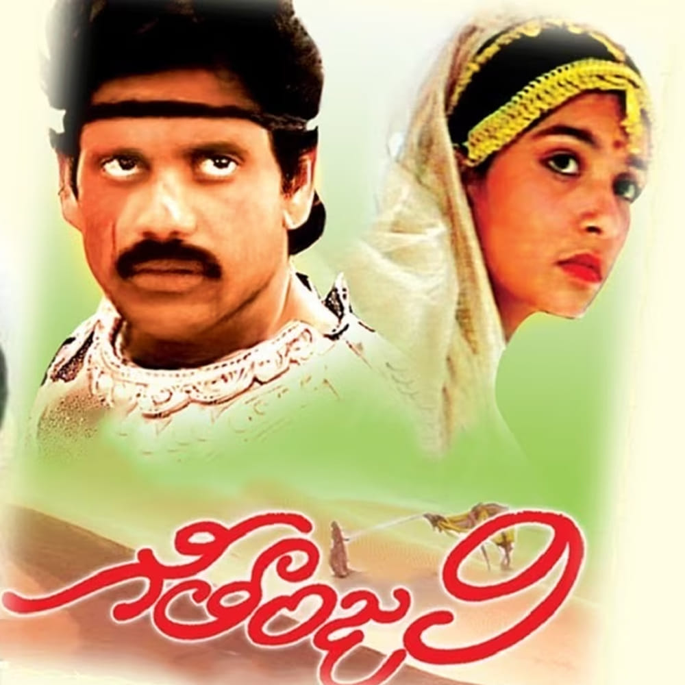 గీతాంజలి.. 1989లో విడుదలైన ఈ రొమాంటిక్ డ్రామా చిత్రం భారీగా కలెక్షన్స్ రాబట్టింది. తెలుగులో డైరెక్టర్ మణిరత్నం తెరకెక్కించిన మొదటి చిత్రం. ప్రాణాంతకమైన వ్యాధితో పోరాడుతున్న ఓ యువకుడి ఊటికి వెళ్లిపోతాడు. అక్కడ అతనికి గీతాంజలి అనే అమ్మాయి పరిచయం కావడం.. ఆ తర్వాత అతని జీవితంలో ఎలాంటి మార్పులు వచ్చాయి అనేది ఈ చిత్రం.