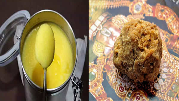 Tirumala: టీటీడీలో నెయ్యి కొనుగోళ్ల దుమారం.. కేఎంఎఫ్ కామెంట్స్కు మార్చిలో టెండర్ వెయ్యలేదంటూ టీటీడీ కౌంటర్..