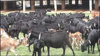 Life Insurance vs Term Insurance: బీమాతో ఆర్థిక భరోసా.. కానీ పాలసీల మధ్య ప్రధాన తేడాలను తెలుసుకోవాల్సిందే..!